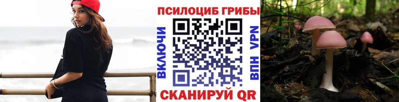 Псилоцибиновые грибы Cubensis  Отрадная 